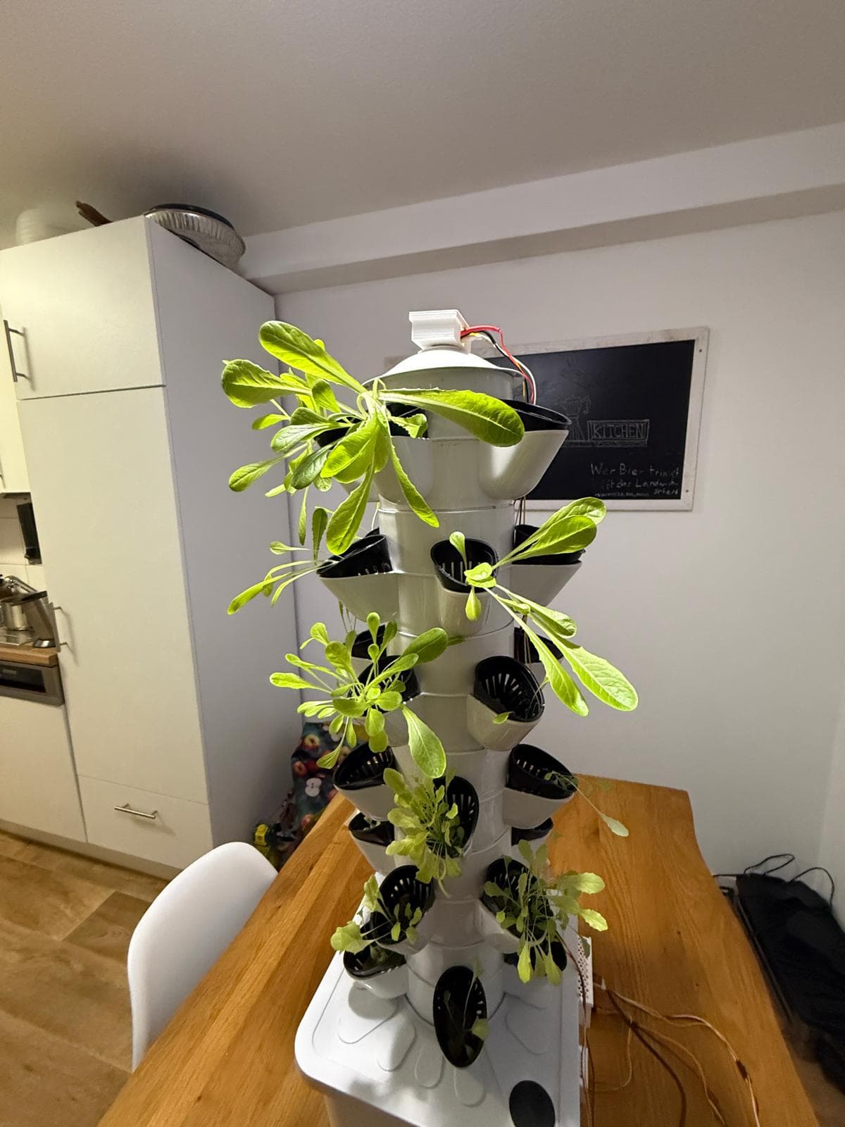 GrowFlow Tower mit Salatpflanzen